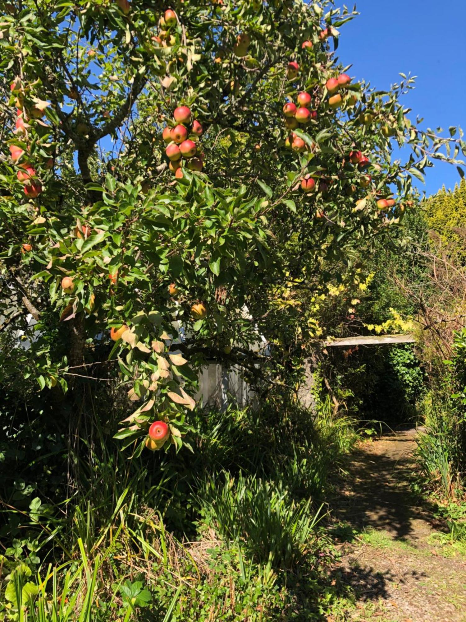Shannon River House & Gardens * Limerick Junction